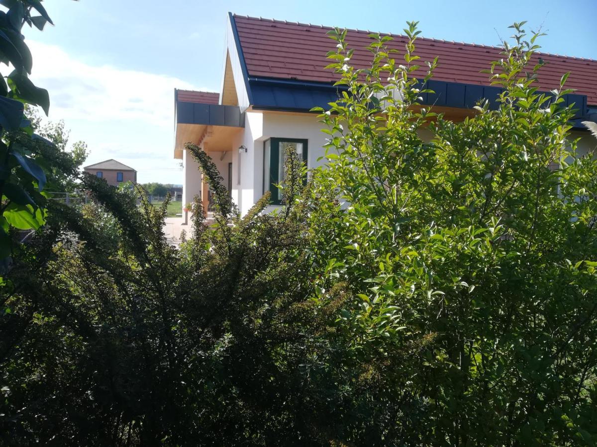 Edina Vendeghaz-Gyenesdias Appartement Buitenkant foto